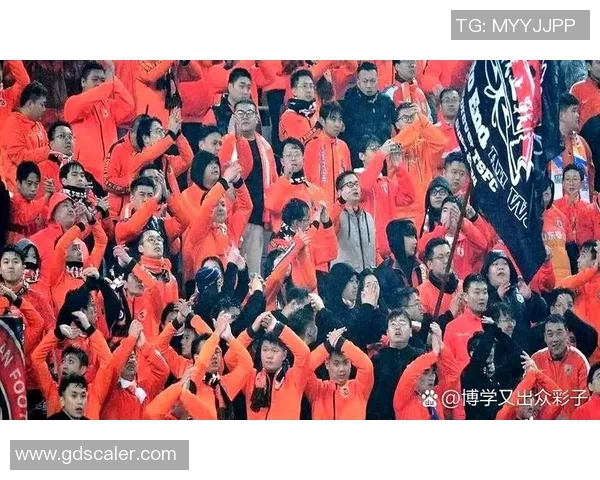 中国足球明星出战名单揭晓引发球迷热议与期待