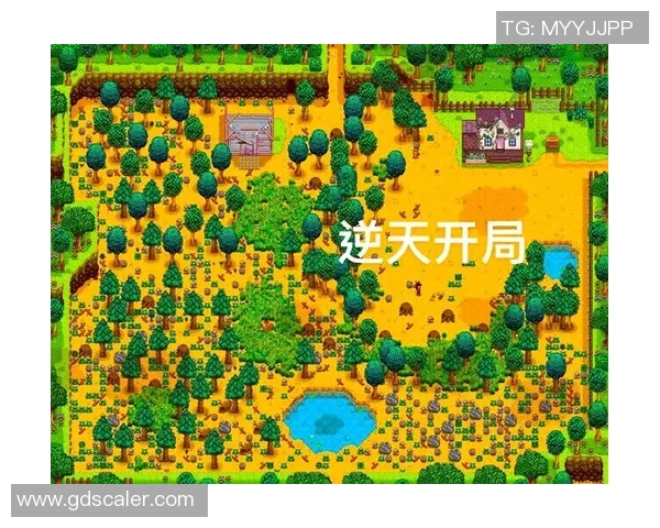 功夫足球明星游戏下载攻略及资源分享让你畅玩无阻