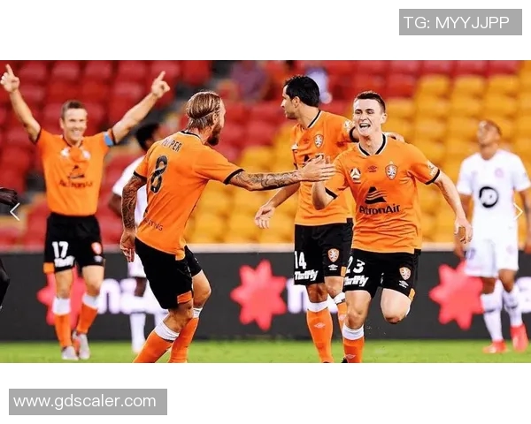 布琳狮子迎战墨尔本城争夺澳超联赛关键三分之战 布琳狮子迎战墨尔本城争夺澳超联赛关键三分之战