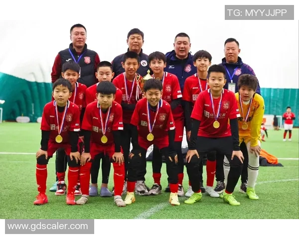 2017年中国足球队国际排名分析及其对未来发展的影响探讨