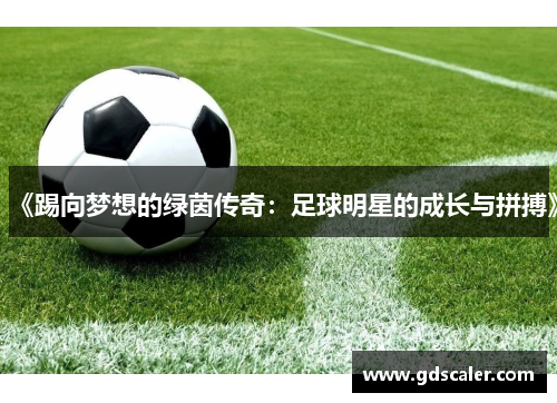 《踢向梦想的绿茵传奇：足球明星的成长与拼搏》