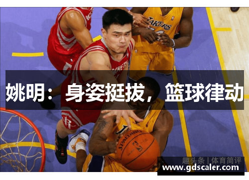 姚明：身姿挺拔，篮球律动