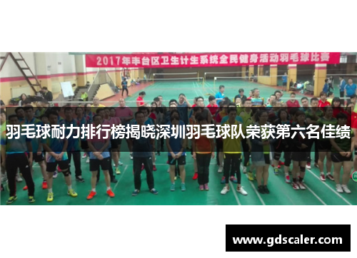 羽毛球耐力排行榜揭晓深圳羽毛球队荣获第六名佳绩