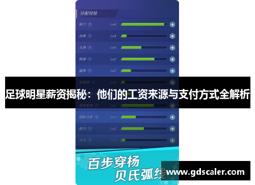 足球明星薪资揭秘：他们的工资来源与支付方式全解析